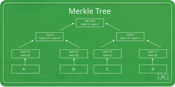 merkle-tree-zk-rollup-la-gi
