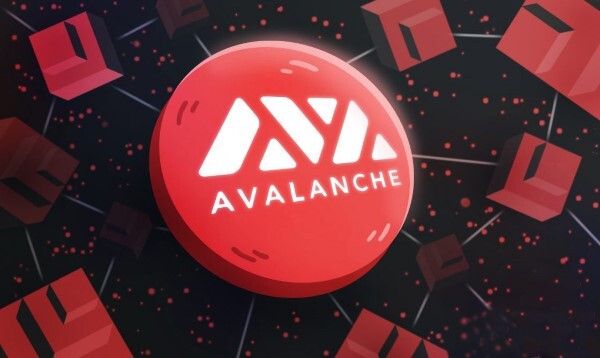 staking-avalanche