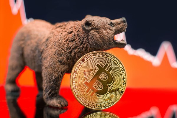 how-to-make-money-in-a-bear-market-crypto