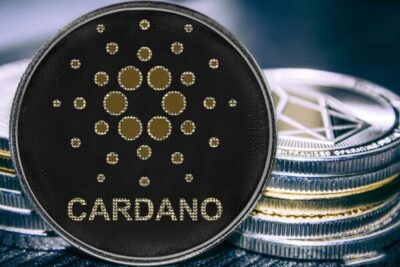 Where And How To Stake Cardano – Beginners’ Guides For Cardanian