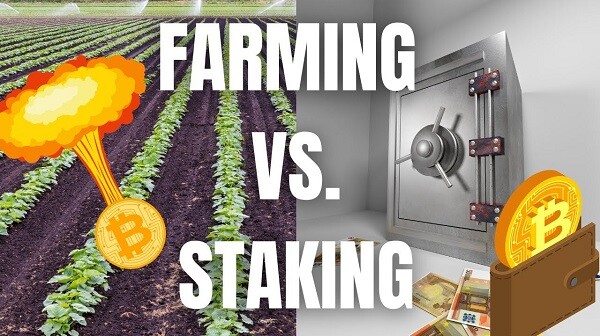 staking-vs-farming
