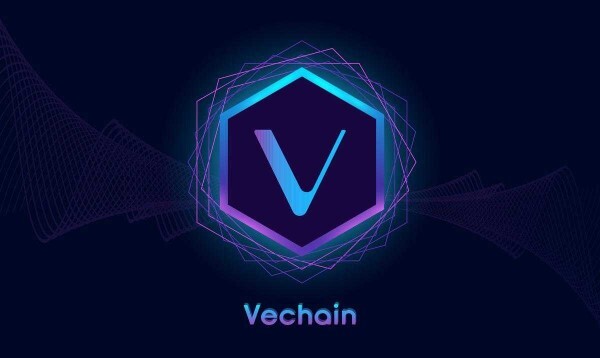 how-does-vechain-work 