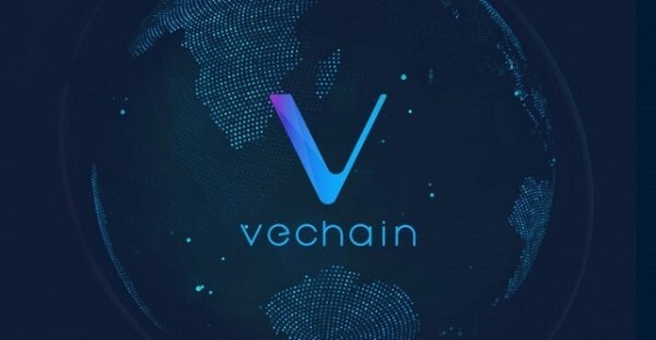 vechain-use-case-examples