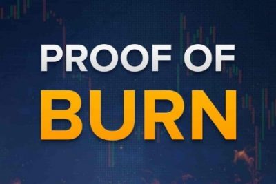 Cryptocurrency Explained: What Is Proof Of Burn In Blockchain?