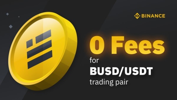 the-similarities-between-busd-and-usdt