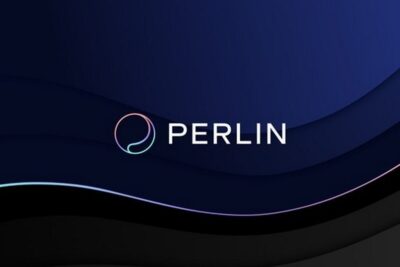PERL coin là gì? Những điều cần biết về dự án Perlin