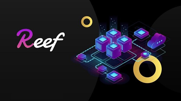 reef-coin