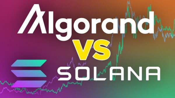 algorand-compare-with-solana
