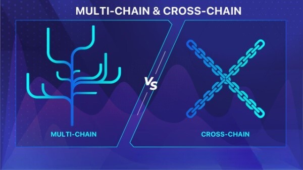 what-are-the-main-differences-between-multi chain-vs-cross-chain