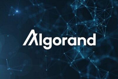 ALGO coin là gì? Tất tần tật về dự án Algorand và ALGO coin (2022)
