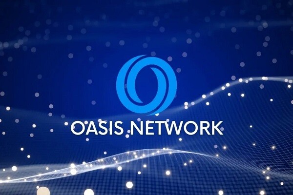 cau-truc-ky-thuat-cua-oasis-network