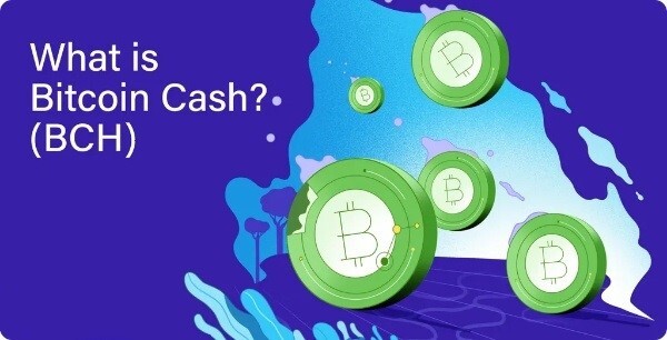 bitcoin-cash-explanation