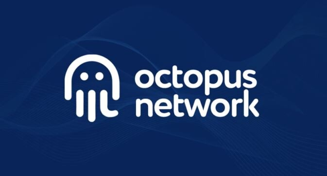 cong-nghe-app-chain-octopus-networks
