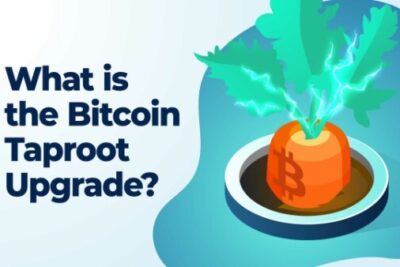 What Is Taproot Bitcoin? How Does It Affect Bitcoin?