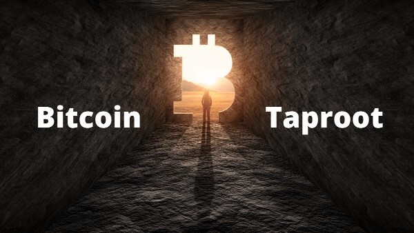 how-important-taproot-bitcoin-is