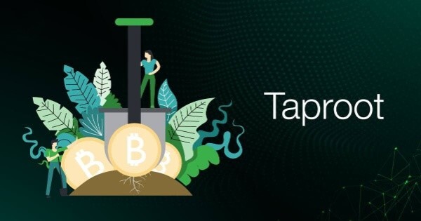 faq-about-bitcoin-taproot