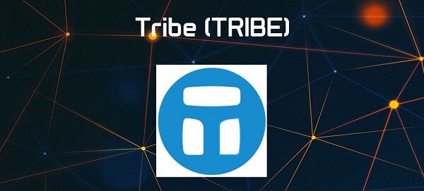 vai-tro-cua-token-tribe