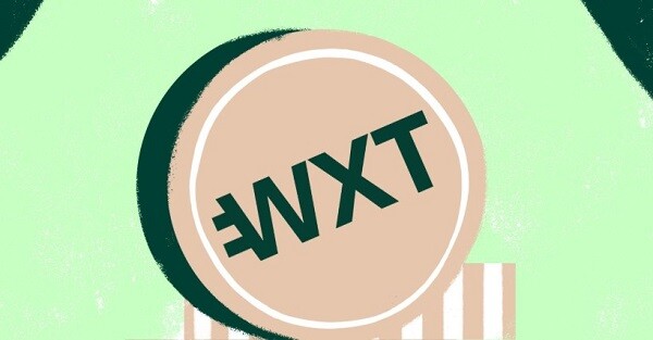 wirex là gì