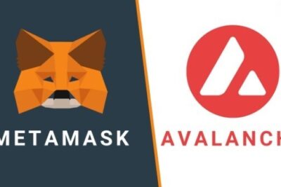 Step By Step Guide Of How To Add Avalanche To MetaMask