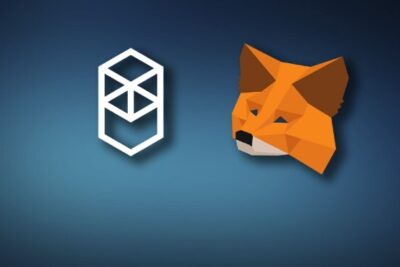 Step By Step Guide Of How To Add Fantom To MetaMask