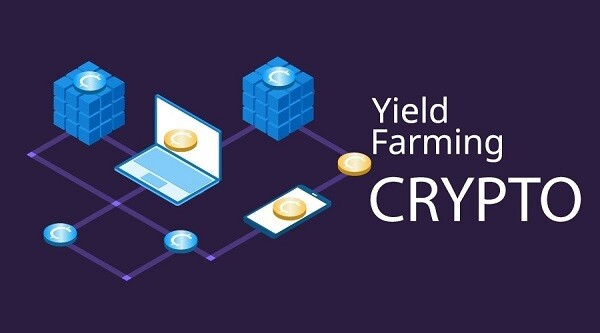 luu-y-khi-yield-farming-la-gi