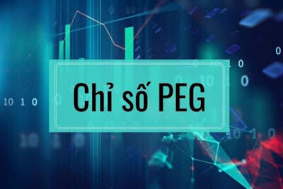 Chỉ số PEG là gì? Tất tần tật về chỉ số PEG mà nhà đầu tư cần biết (2023)