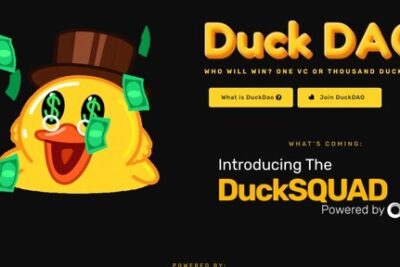 Duckstarter là gì? Chi tiết cách tham gia IDO trên Duckstarter (2023)